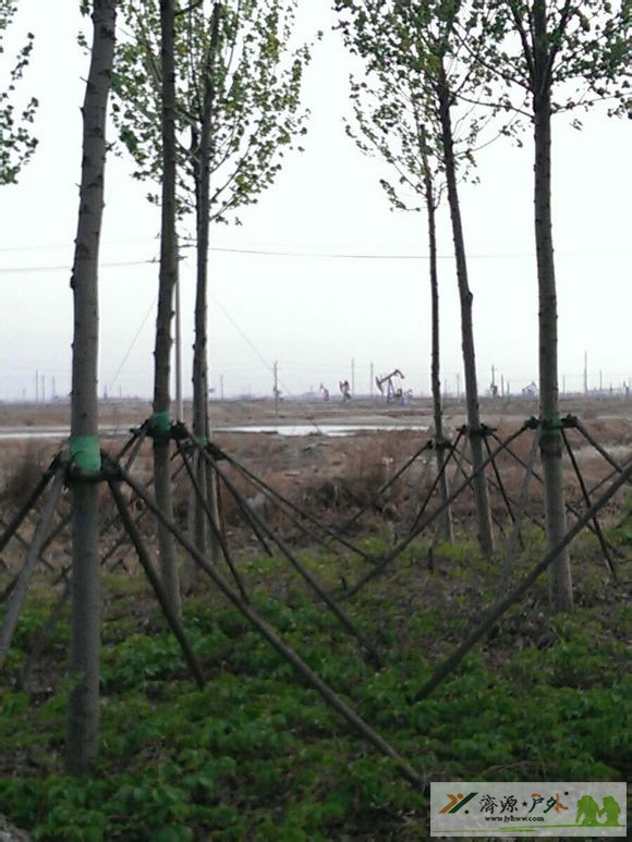 et60232521025512.jpg