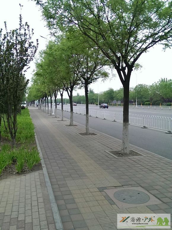 et6023252102554.jpg