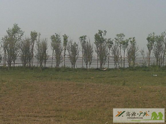 et60232521025541.jpg
