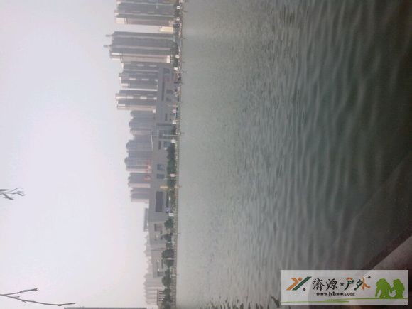 et7042081850183.jpg