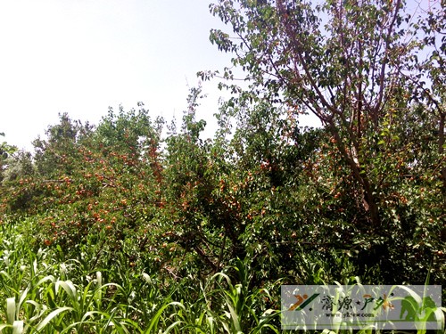 et70550818501834.jpg