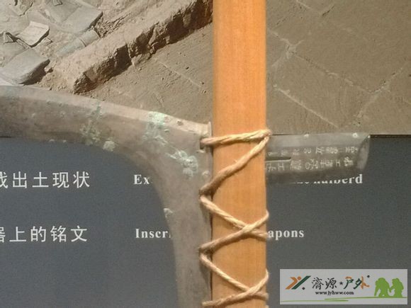 et71131222193524.jpg