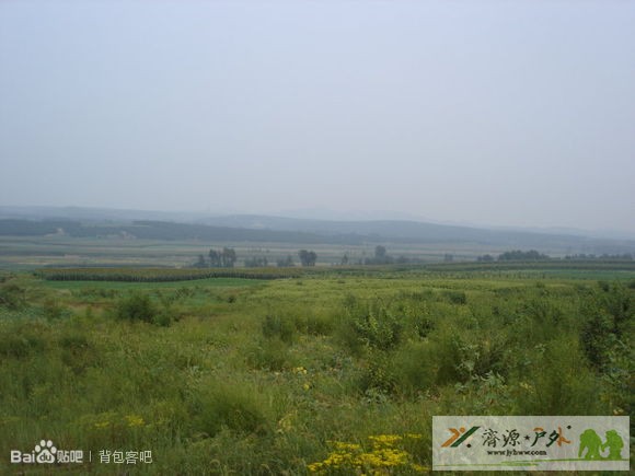 et7254182022509.jpg