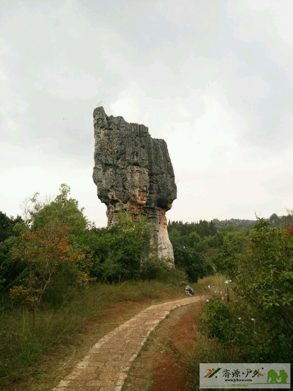et76961322442321.jpg
