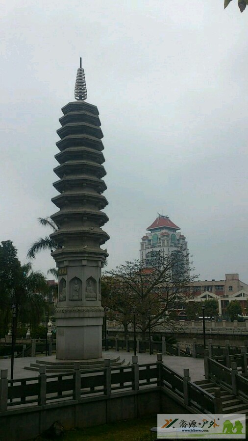 et77021419393010.jpg