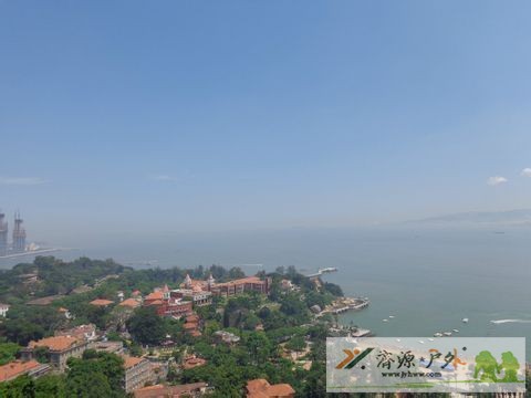 et7835202116582.jpg
