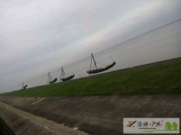 et7871222238358.jpg