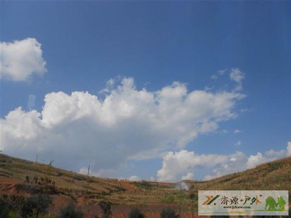 et81761514265620.jpg