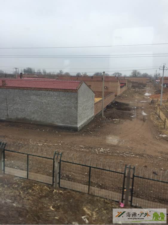 et15088042124424.jpg