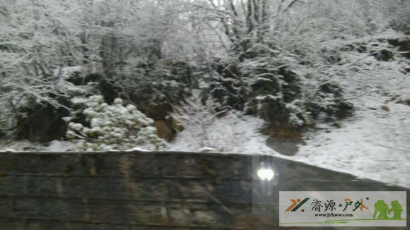 et15335292045152.jpg