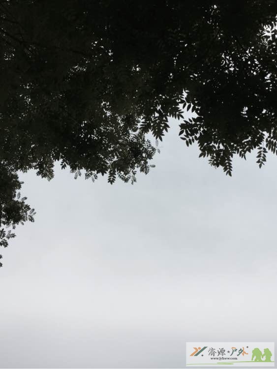et8043311049035.jpg