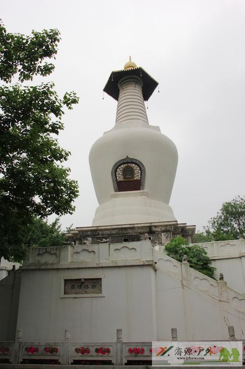 et81510220393552.jpg