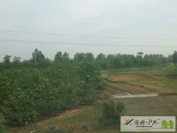 et81870522095610.jpg