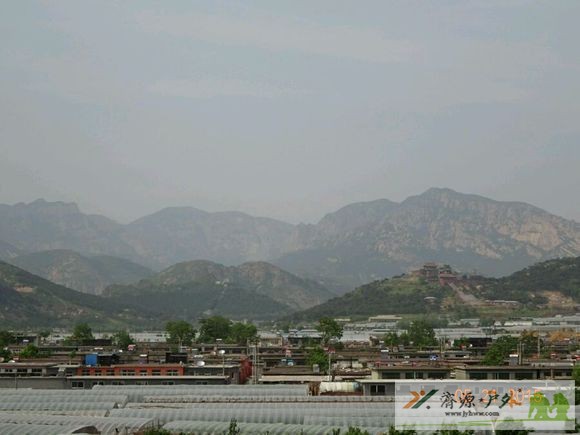 et81910522254511.jpg