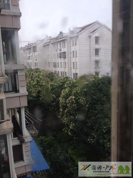et8246222130439.jpg