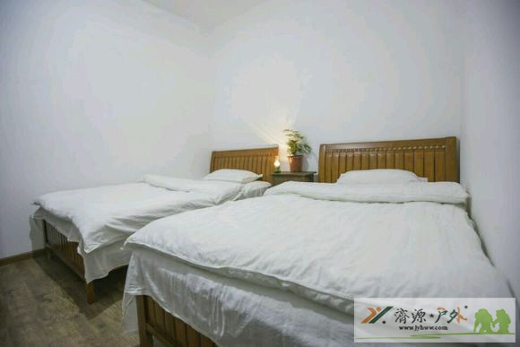 et83392321430412.jpg