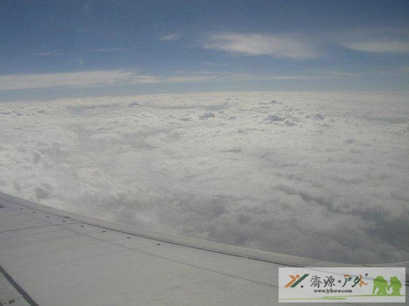 et8768062118304.jpg