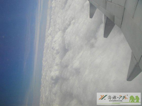 et8768062118305.jpg