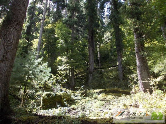 et923507204541172.jpg