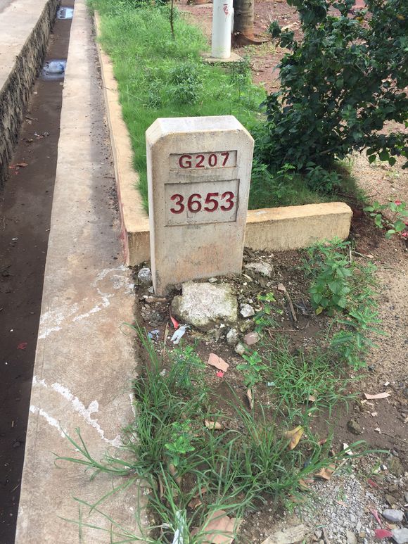 et262515291219.jpg