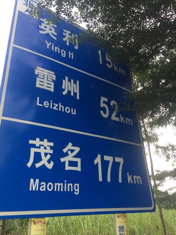 et262515291228.jpg