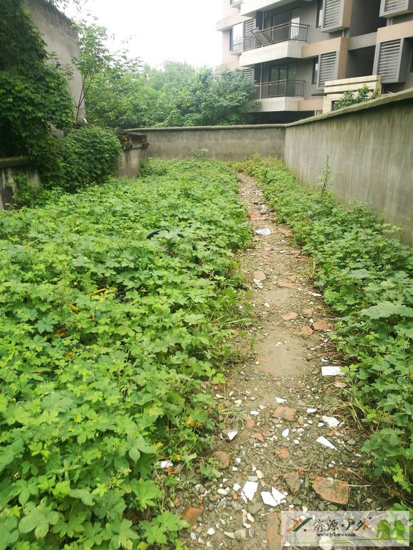 et3020121020112.jpg