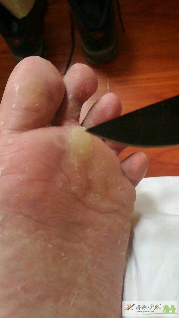 et3020121020115.jpg