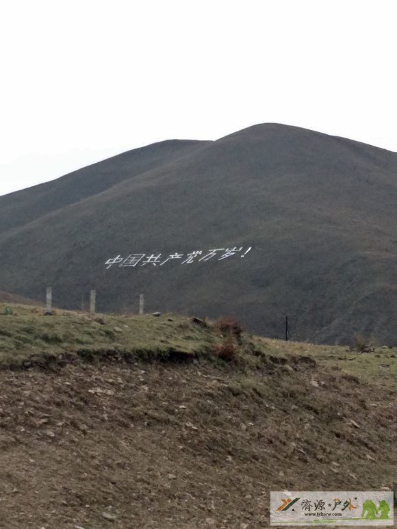 et3100121020174.jpg