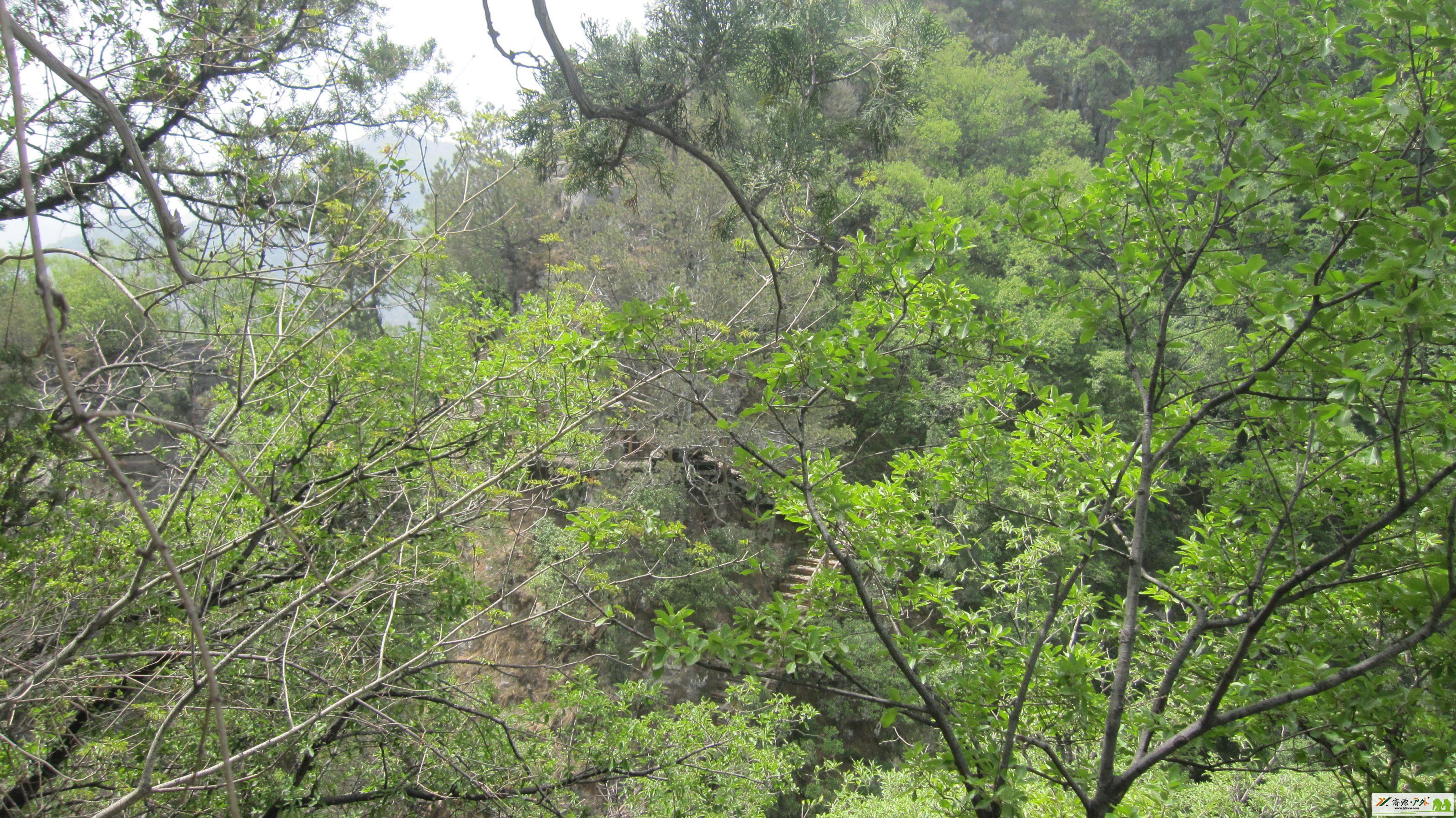 IMG_1871.JPG