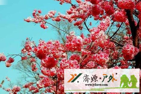 20100303101916333.jpg