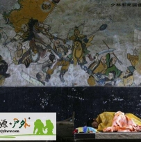 见识少林武僧的非凡生活